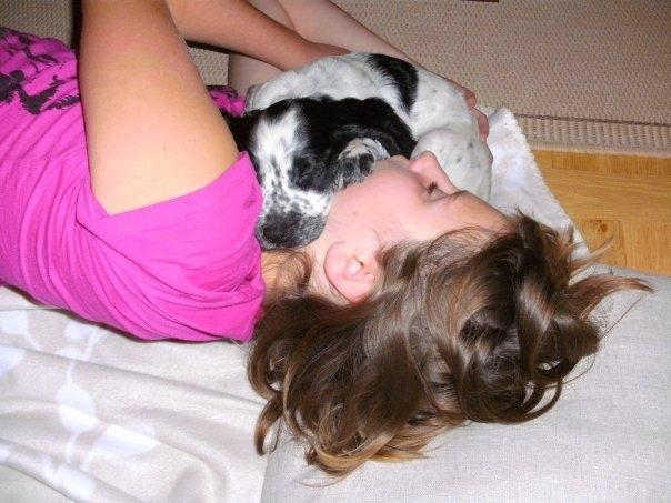 Cocker spaniel charlie billede 3