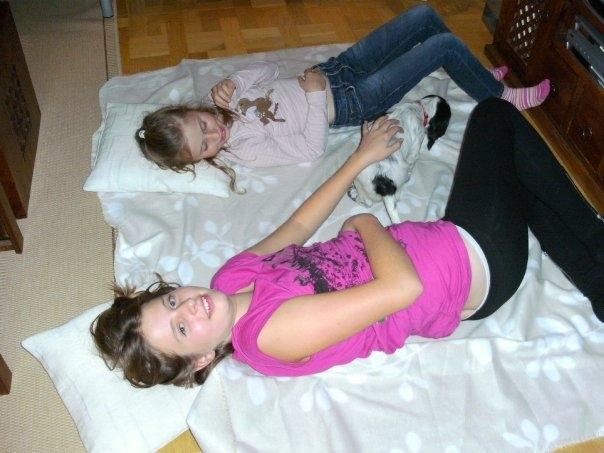 Cocker spaniel charlie billede 4