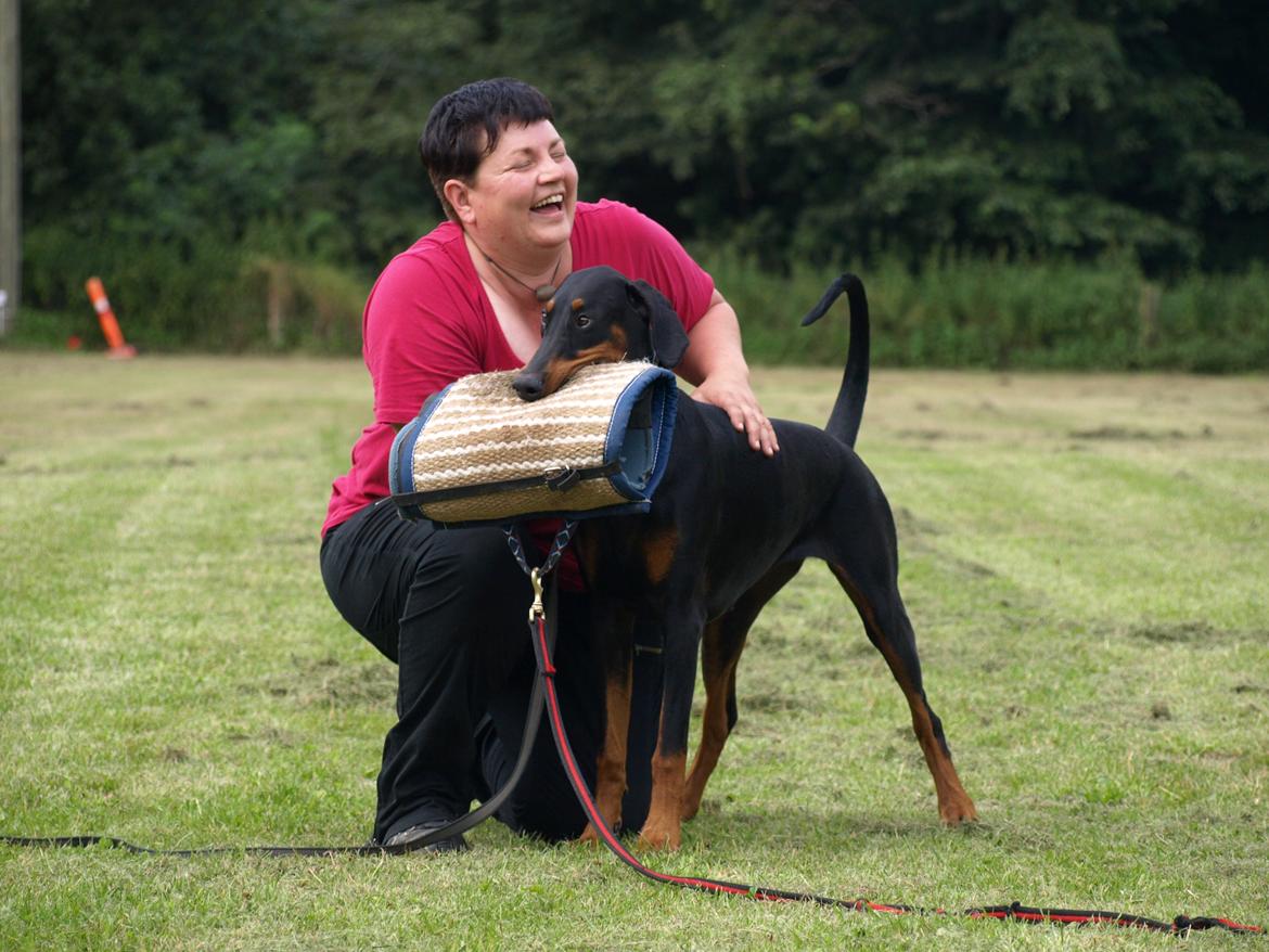 Dobermann GOF Fearless Fiona billede 5