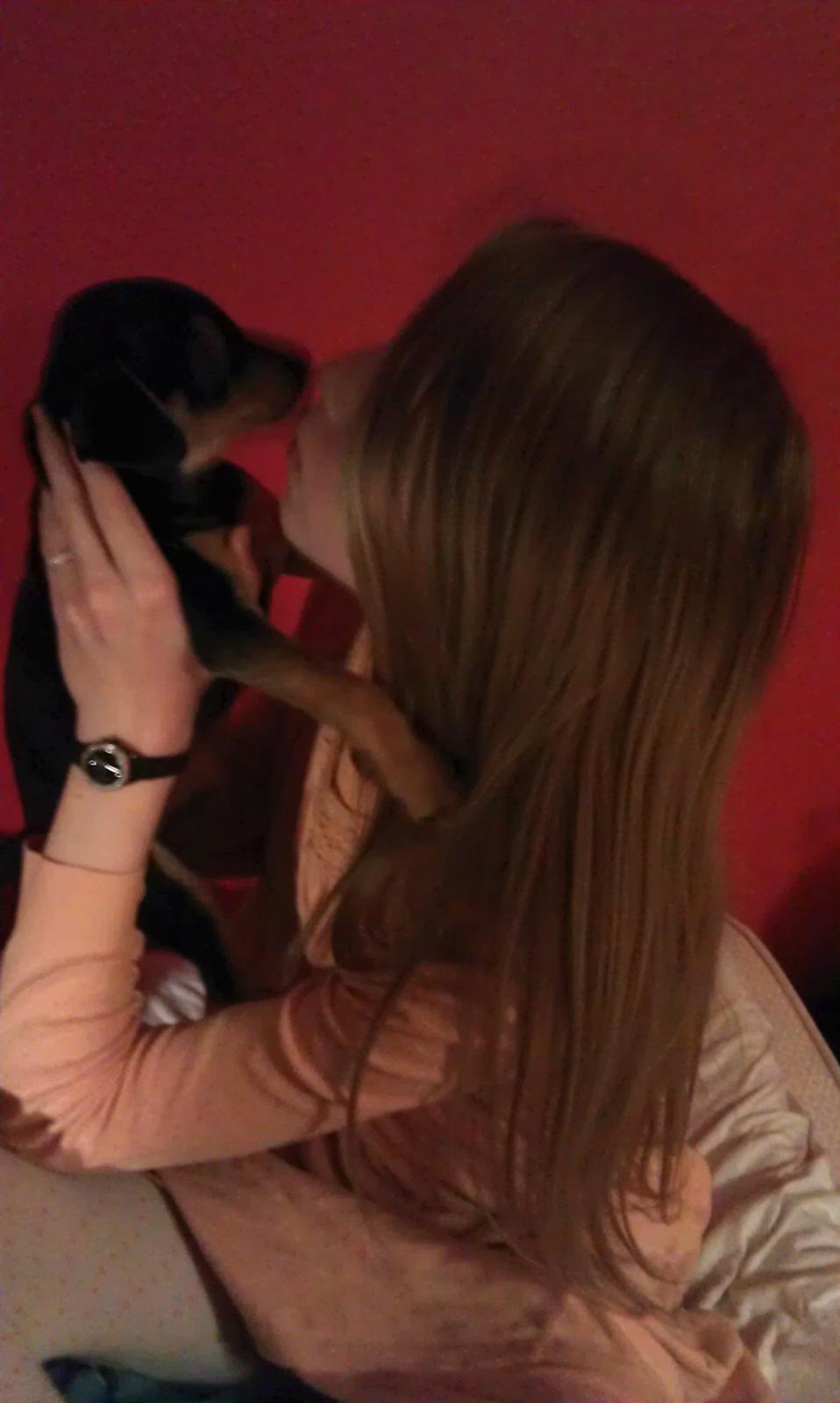 Dansk svensk gaardhund , Dværgpincher og Jack russell terrier. Tøsen - Mig og Tøsen der kysser :D billede 1