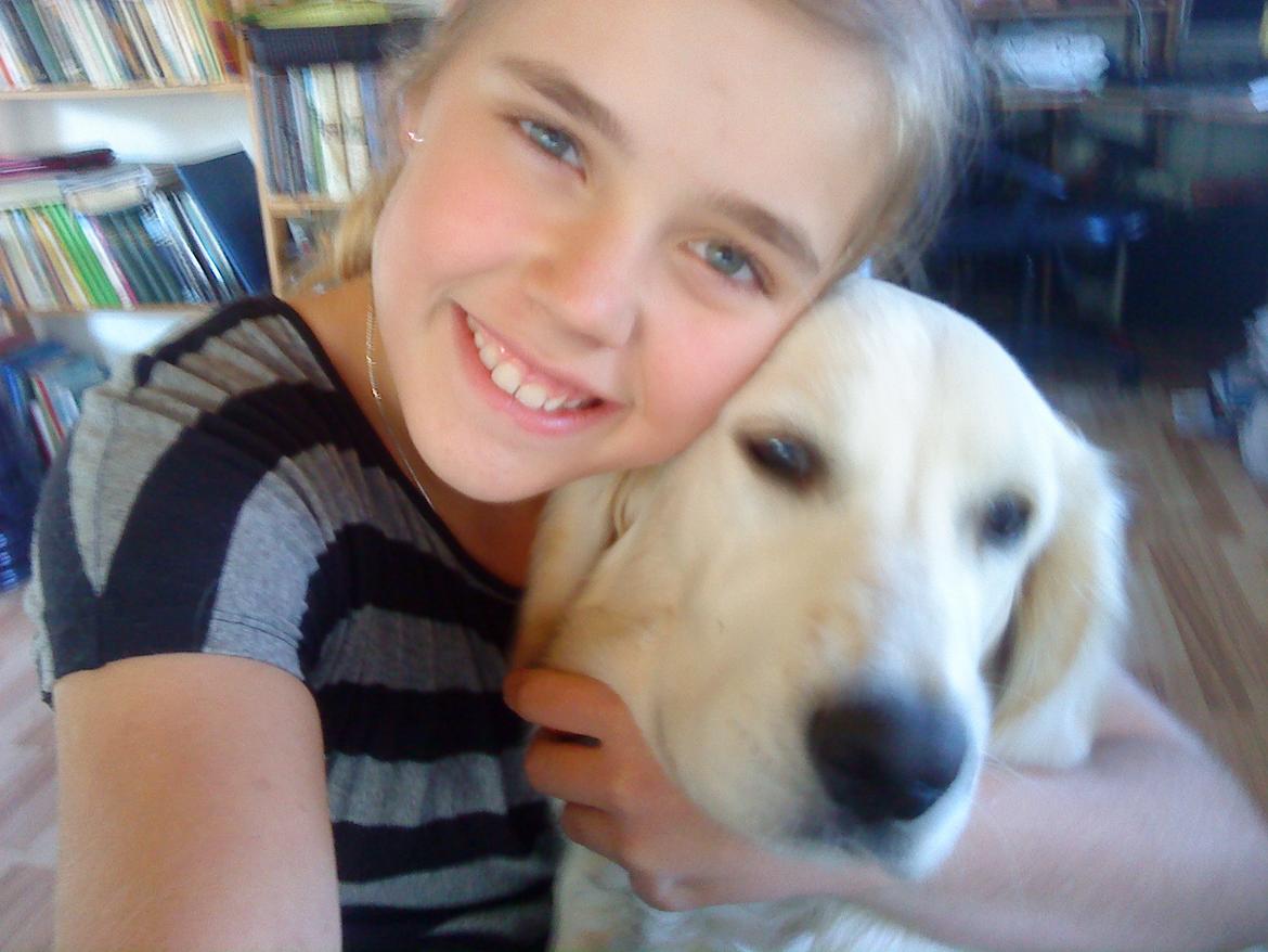 Blanding af racer Fernando billede 2