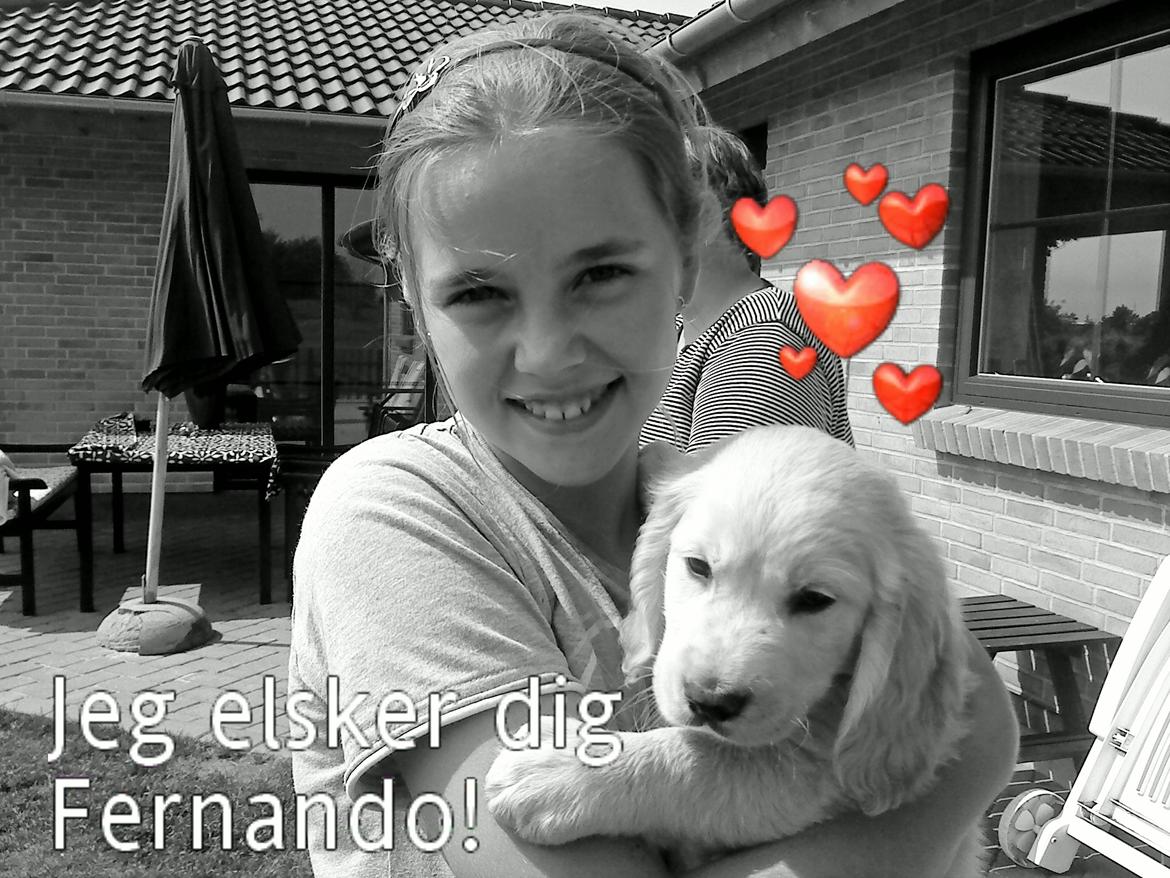 Blanding af racer Fernando - Som lille igen (da vi kiggede på ham) billede 4