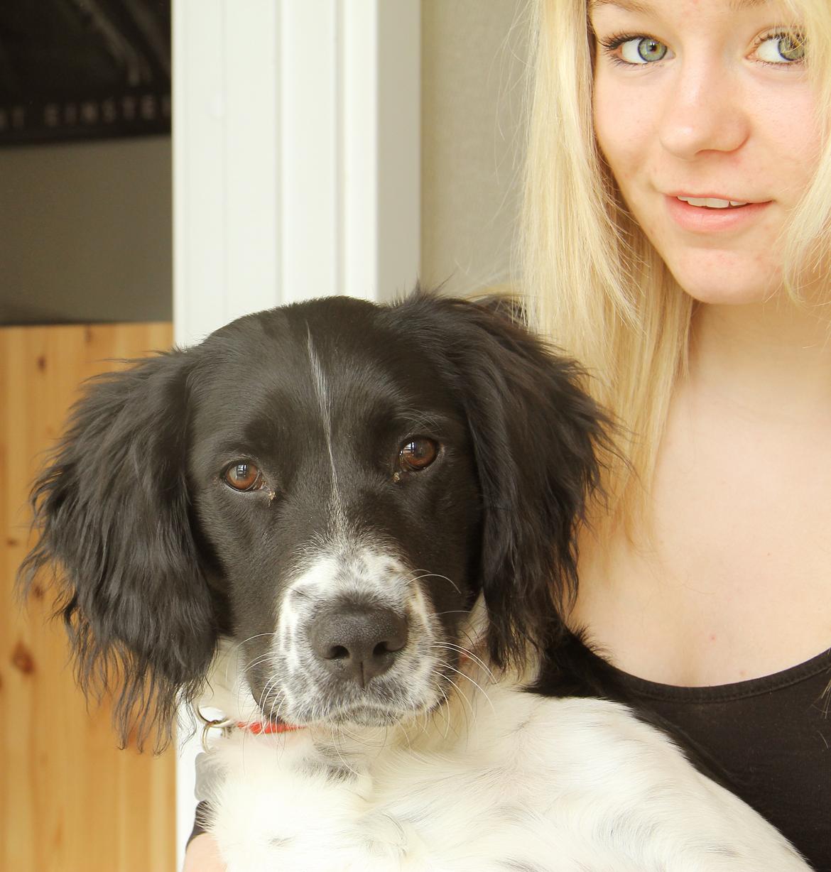 Blanding af racer Enzo - Enzo og Anna. (o: billede 6