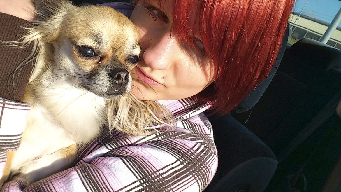 Chihuahua Micka - Micka og mor på tur :D <3
Marts 2012 billede 3