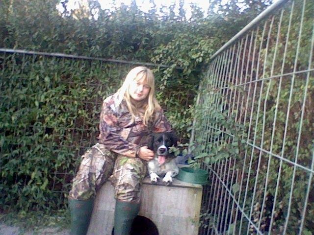 Engelsk springer spaniel coco billede 1