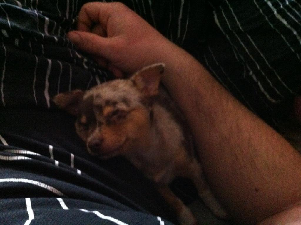 Blanding af racer Neelix billede 2