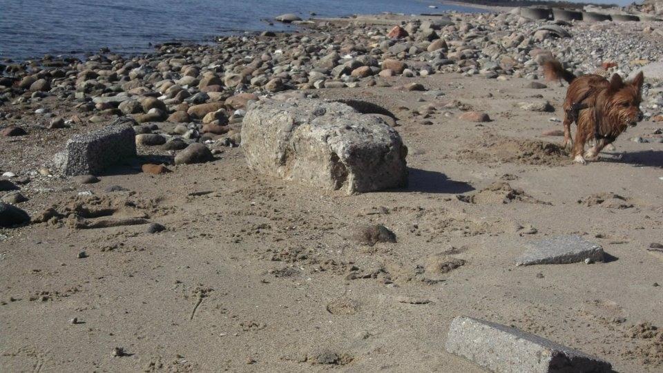 Blanding af racer Sunja billede 14