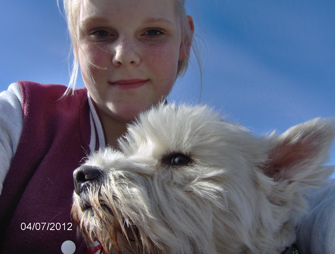 West highland white terrier Sille<3! - Emely og Sille<3! billede 4