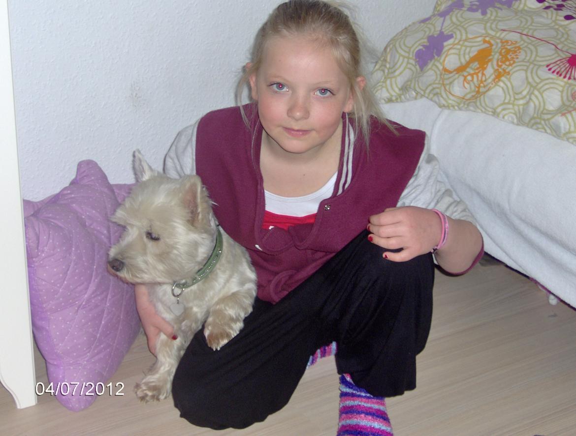 West highland white terrier Sille<3! - Ronja og sille har det fedt<3! billede 14