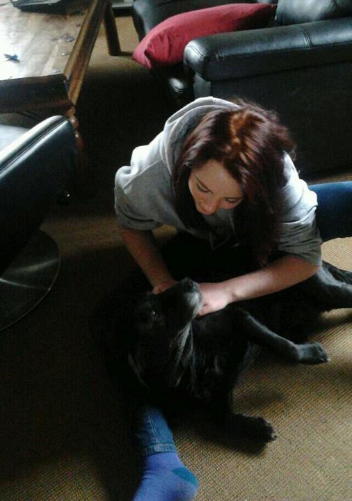 Labrador retriever Siggi - Min søde hund, Siggi.. Som skal aflives tirsdag d. 10 april 2012 :-'/ <3.
Taget mandag d. 9 april 2012. 
jeg elsker dig <3. billede 1