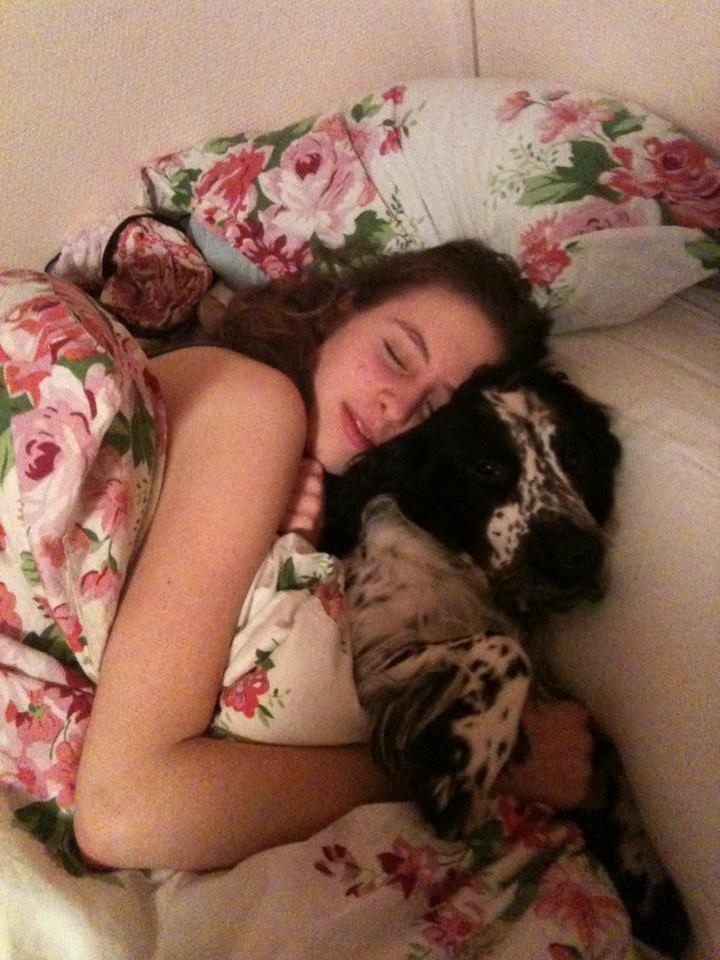 Cocker spaniel charlie billede 10