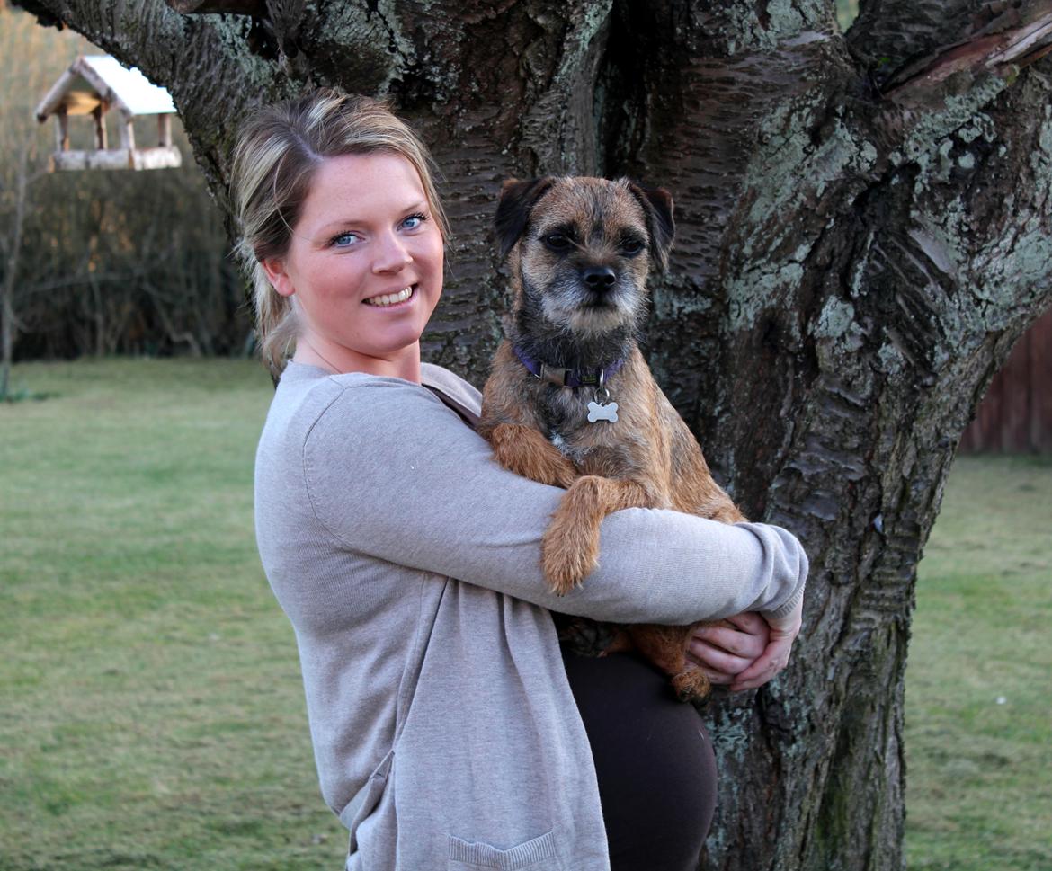 Border terrier Lutra´s Glenlivet (Coppi) billede 15