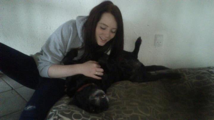 Labrador retriever Siggi - Aller sidste dag med Siggi nogensinde.. R.I.P - Rest in peace, du var den bedste <3. billede 9