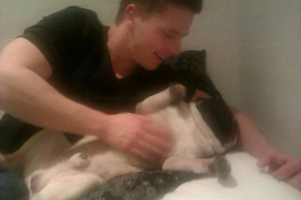 Mops Oskar billede 10