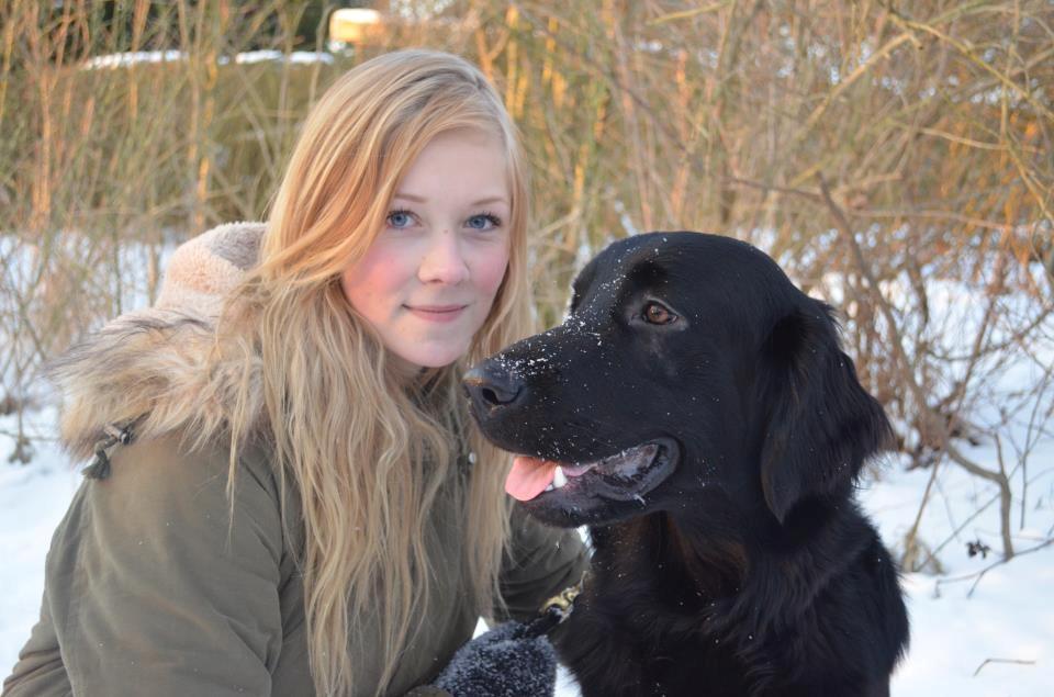 Hovawart Samson <3 - Min bedste ven <3 billede 14