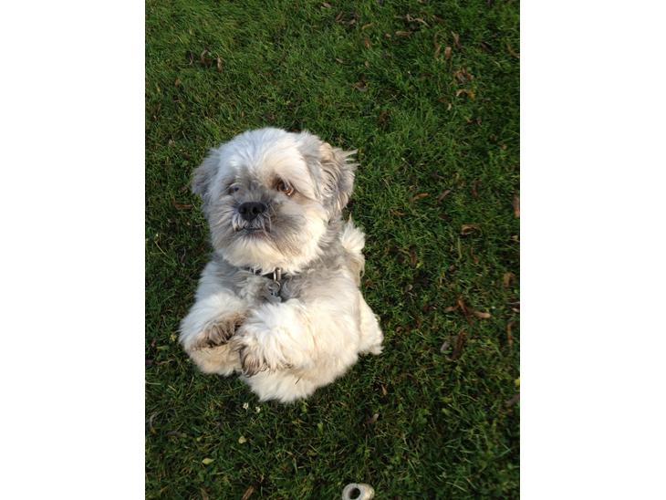 {{currentPhoto.altText}} billede {{currentPhoto.number}}