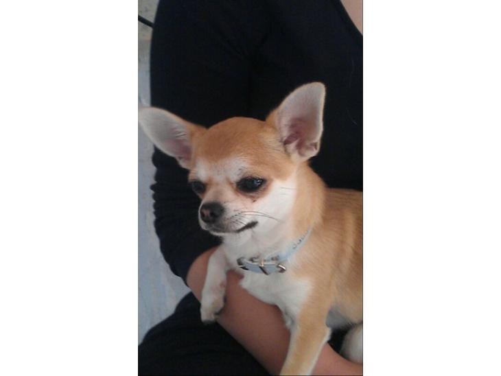 {{currentPhoto.altText}} billede {{currentPhoto.number}}