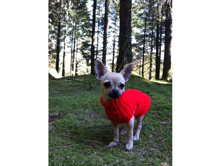 {{currentPhoto.altText}} billede {{currentPhoto.number}}