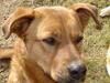Blanding af racer Sascha - R.I.P