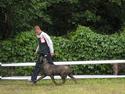 Cane corso Mazurskiego Edenu milla