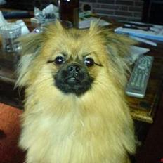 Blanding af racer Emil