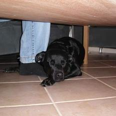 Blanding af racer Trunte