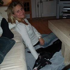 Amerikansk staffordshire terrier Oskar