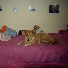 Blanding af racer Thor