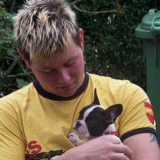 Fransk bulldog Freja