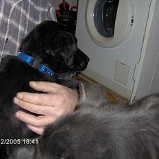 Blanding af racer Teicko