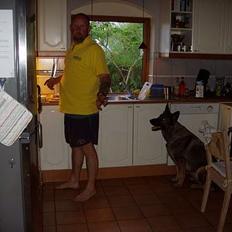 Schæferhund Amagers Asja