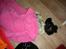 Engelsk springer spaniel Coco - Jeg ta´r lige en slapper...