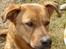 Blanding af racer Sascha - R.I.P