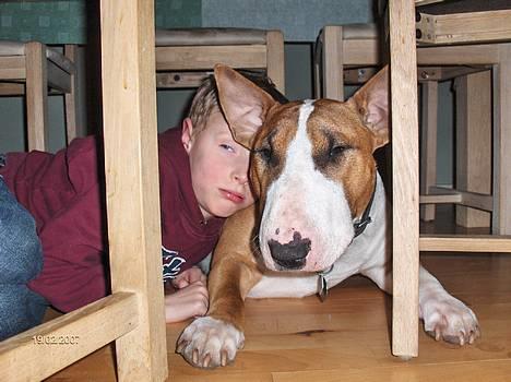 Bullterrier Ask og Pingo  -  " er der altid når ingen andre gider hører på mig - min aller bedste ven !! " Jonathan og Ask febuar 2007 billede 20