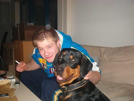 Blanding af racer Hector *DØD 28.10.07* RIP - Her sidder Hector sammen med Bering billede 13