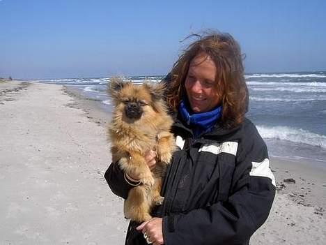 Blanding af racer Emil - Mig og min mor er ved stranden billede 3