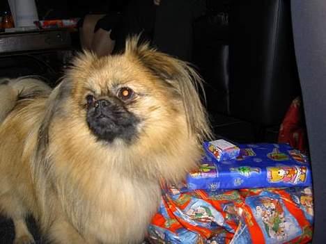 Blanding af racer Emil - Mig og alle mine julegaver billede 5