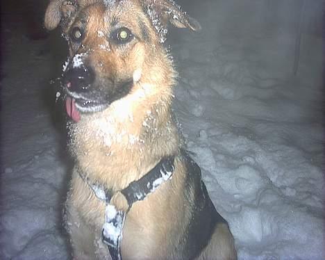 Blanding af racer Britney - Har jeg noget siddende??? billede 5