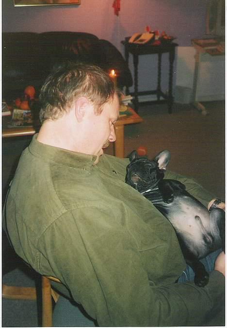 Fransk bulldog Gordon - Alle kan jo blive trætte:) også min far... billede 13