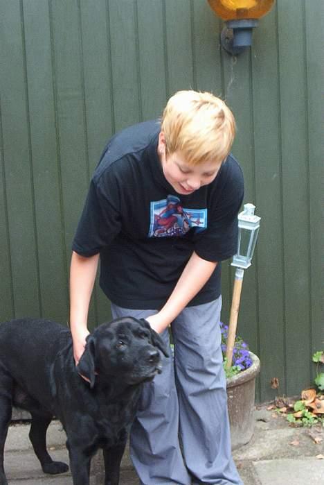 Labrador retriever Rikki *DØD* - os igen billede 7