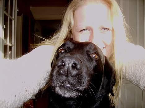 Labrador retriever Zulu (mors hund) billede 14