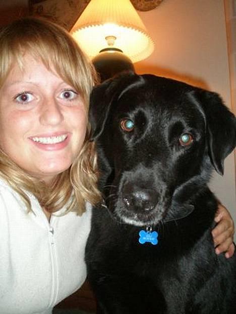 Labrador retriever Zulu (mors hund) billede 16