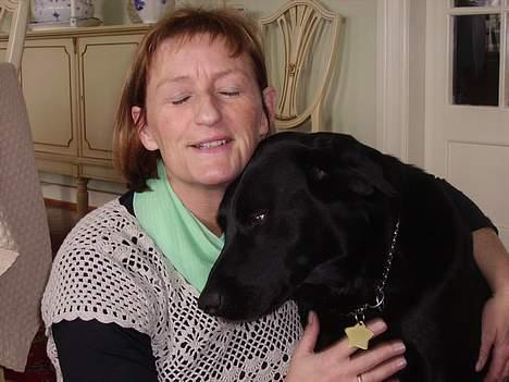 Labrador retriever Zulu (mors hund) billede 17