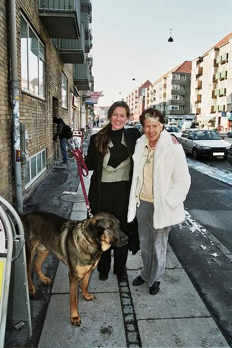 Blanding af racer Buster (DØD-2007) - Her er Buster i KBH billede 4