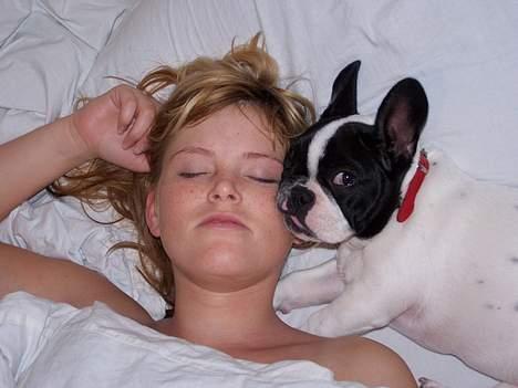 Fransk bulldog Freja - Jeg ligger lige og nusser mor, fordi at hun er syg billede 7