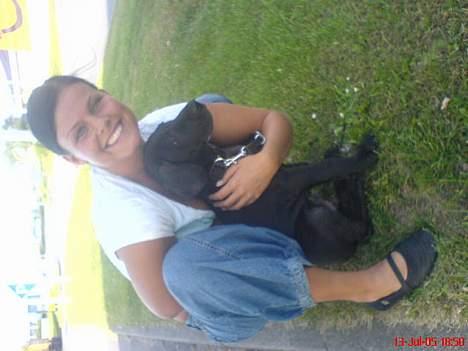 Grand danois ANTON - På vej hjem til mit nye hjem billede 15