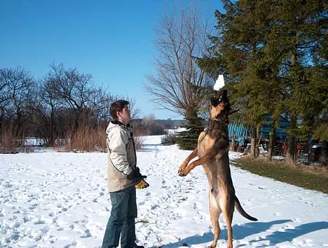 Blanding af racer Buster (DØD-2007) - Jeg greb den... Se lige min stærke arme og muskuløse brystkasse.... billede 11
