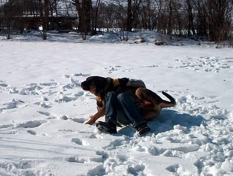 Blanding af racer Buster (DØD-2007) - Jeg vandt billede 13