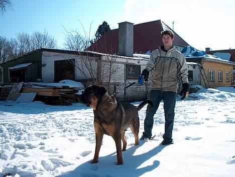 Blanding af racer Buster (DØD-2007) - Her lugter af kat!!! billede 14