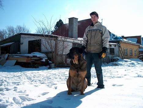 Blanding af racer Buster (DØD-2007) - Nåh øv... Jeg måtte ikke lege med katten... :o) wow billede 15